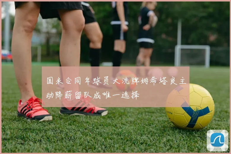 国米合同年球员大洗牌姆希塔良主动降薪留队成唯一选择