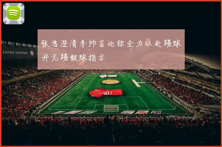 张浩澄清李帅言论称全力以赴踢球并无踢假球指示